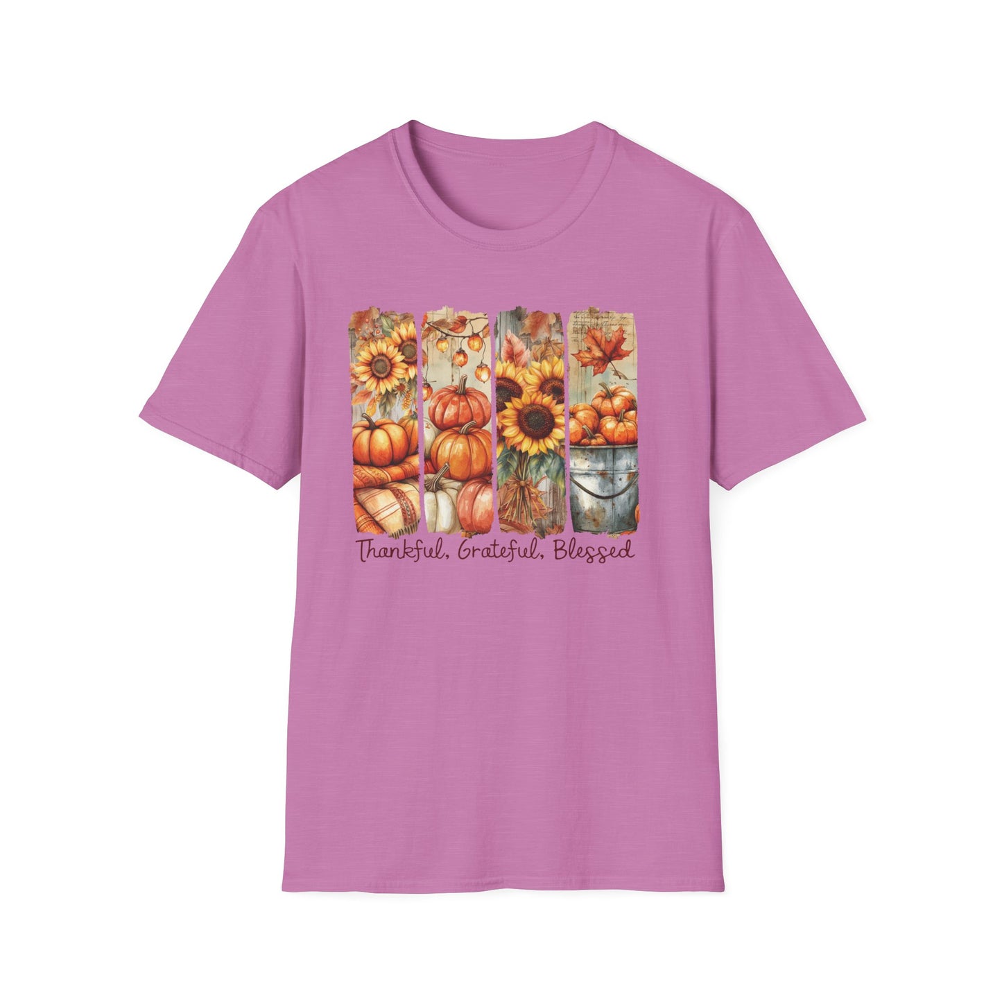 Thankful Grateful Blessed Fall T-Shirt